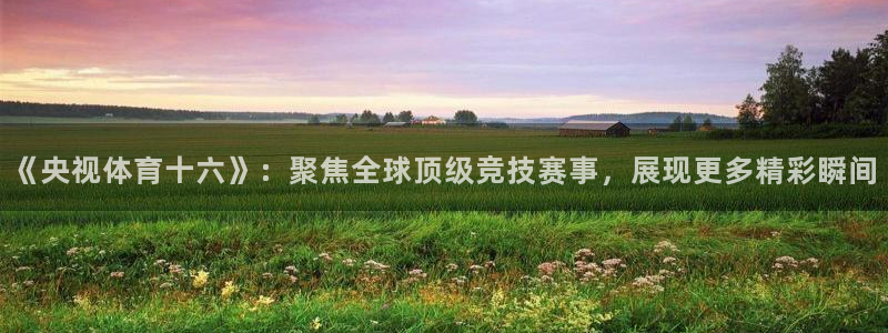 《央视体育十六》：聚焦全球顶级竞技赛事，展现更多精彩瞬间