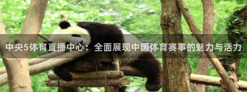 中央5体育直播中心：全面展现中国体育赛事的魅力与活力