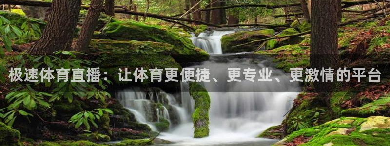 极速体育直播：让体育更便捷、更专业、更激情的平台