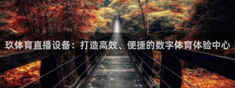 玖体育直播设备：打造高效、便捷的数字体育体验中心