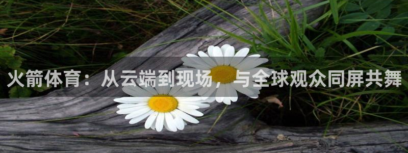 火箭体育：从云端到现场，与全球观众同屏共舞