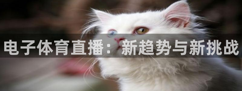 电子体育直播：新趋势与新挑战