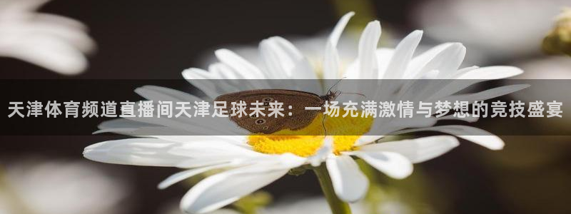 天津体育频道直播间天津足球未来：一场充满激情与梦想的竞技盛宴