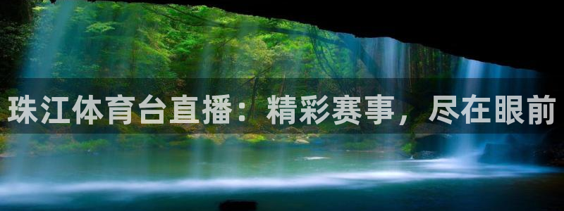 珠江体育台直播：精彩赛事，尽在眼前
