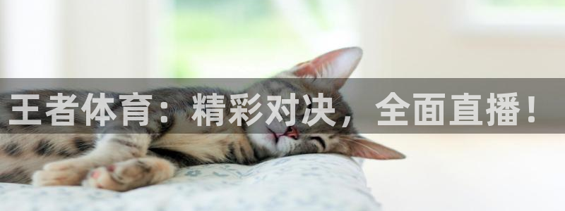 王者体育：精彩对决，全面直播！