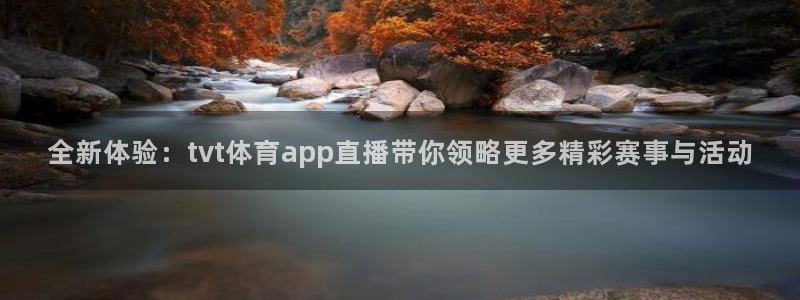 全新体验：tvt体育app直播带你领略更多精彩赛事与活动