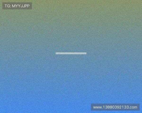 澳大利亚牛仔在国际牧人竞技大赛中展现卓越技艺勇夺佳绩